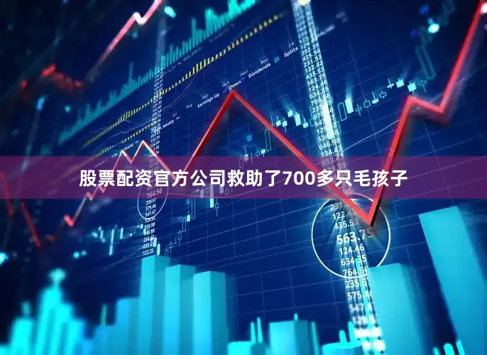 股票配资官方公司救助了700多只毛孩子
